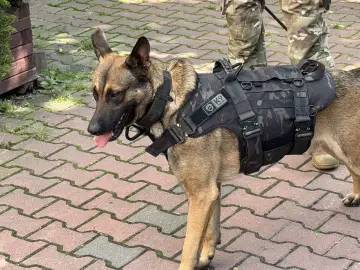 Drzwi Otwarte w WSBiNoZ — zdjęcie 29
