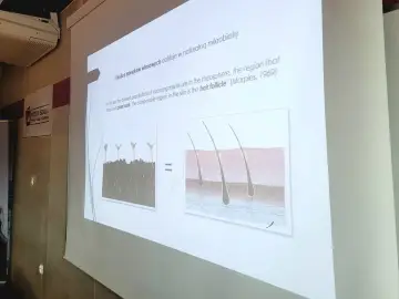 III Festiwal Trychologiczny — zdjęcie 4